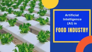 Artificial Intelligence in Food Industry