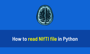 How to read NIfTI file in Python