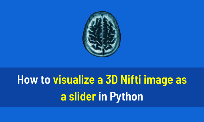 How to visualize a 3D Nifti image as a slider in Python