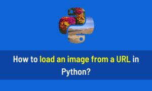 How to load an image from a URL in Python